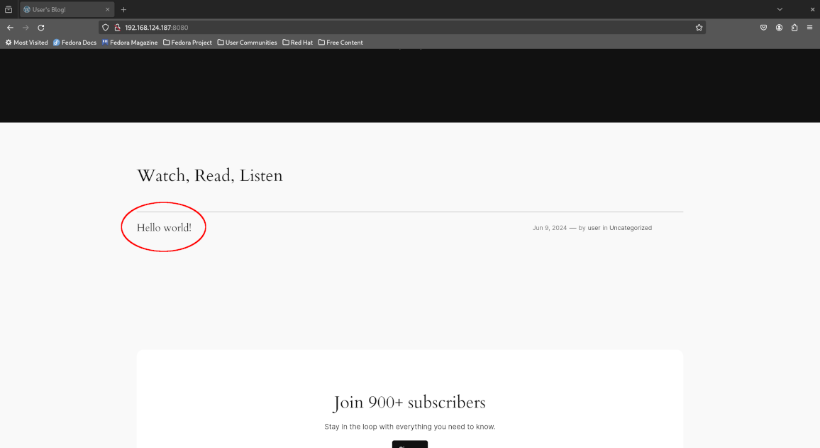 WordPress homepage blog posts