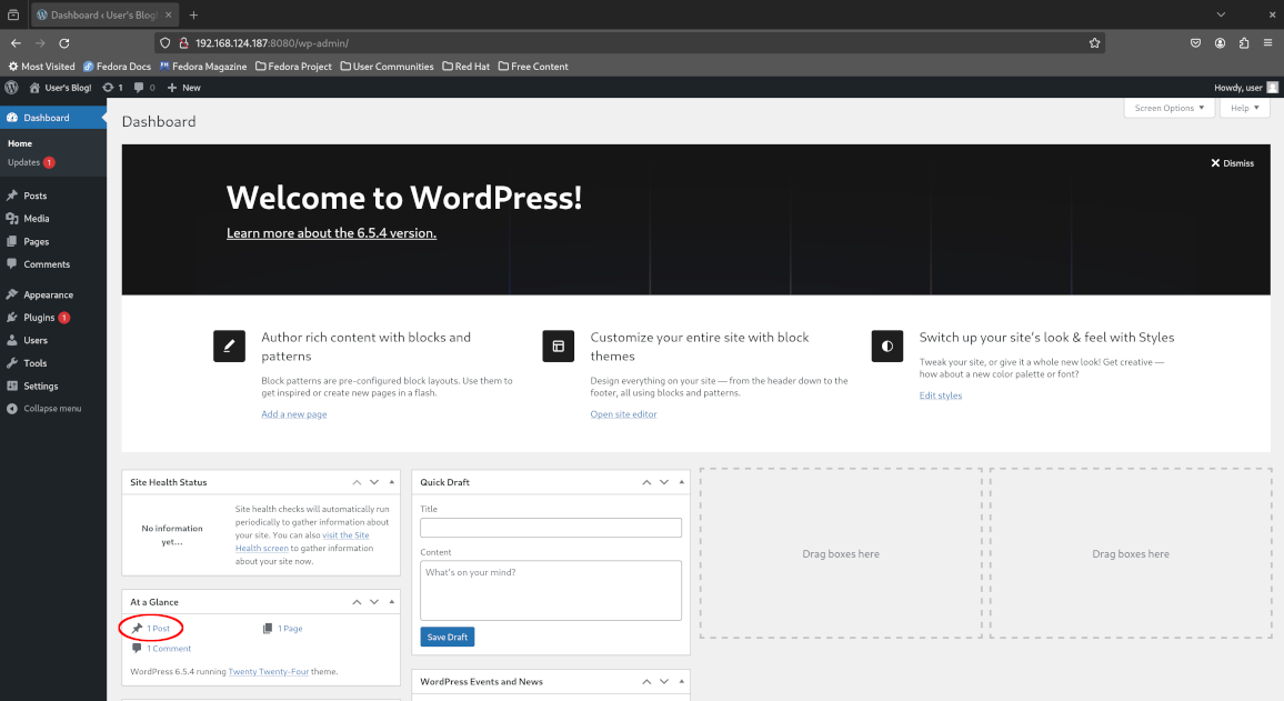 WordPress admin dashboard