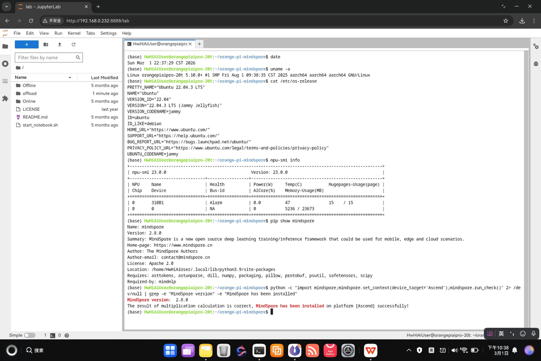 Jupyter terminal