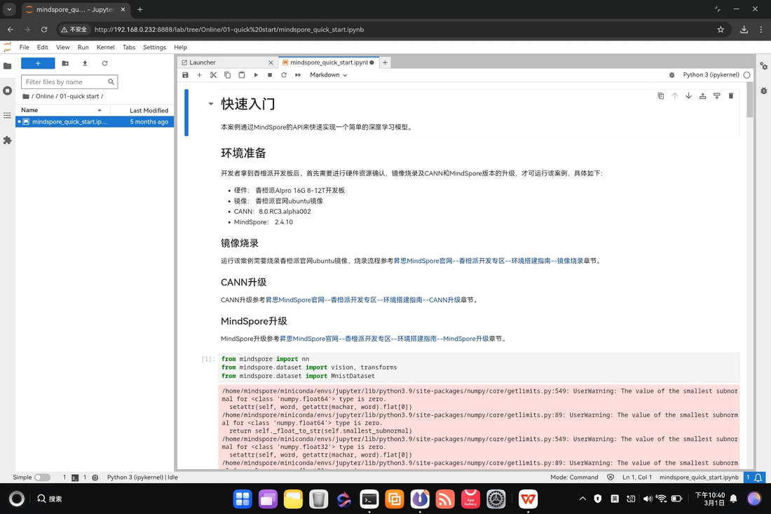 Jupyter notebook